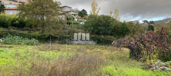 Grundstück in Baiao, Portugal 6300m², Nr. 49729 28