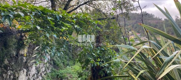 Grundstück in Baiao, Portugal 6300m², Nr. 49729 16