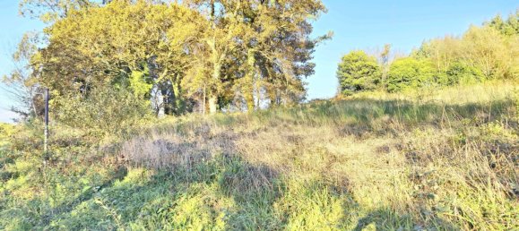  قطعة أرض في O Pino, Spain 5000متر مربع رقم 43262 10