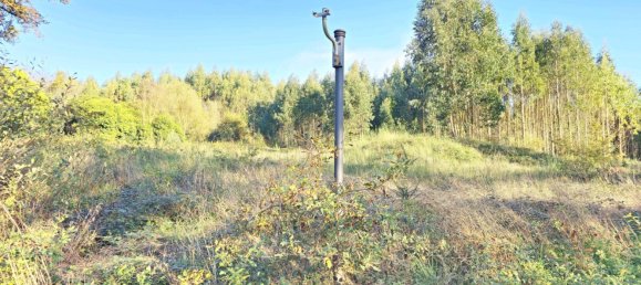  قطعة أرض في O Pino, Spain 5000متر مربع رقم 43262 6