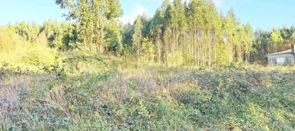  قطعة أرض في O Pino, Spain 5000متر مربع رقم 43262 13