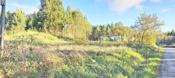  قطعة أرض في O Pino, Spain 5000متر مربع رقم 43262 8