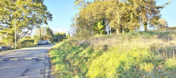  قطعة أرض في O Pino, Spain 5000متر مربع رقم 43262 5