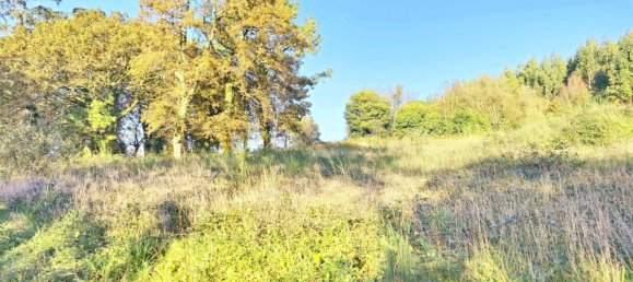  قطعة أرض في O Pino, Spain 5000متر مربع رقم 43262 11