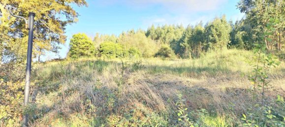  قطعة أرض في O Pino, Spain 5000متر مربع رقم 43262 17