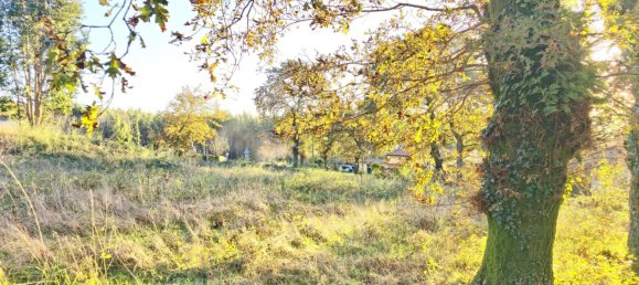  قطعة أرض في O Pino, Spain 5000متر مربع رقم 43262 2