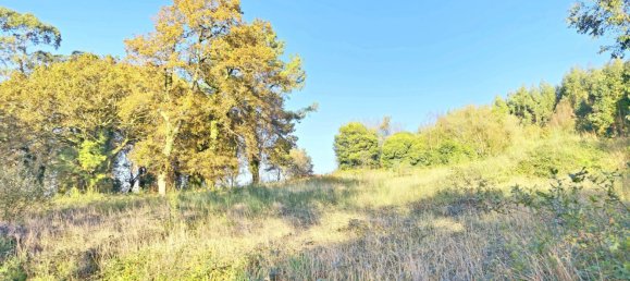  قطعة أرض في O Pino, Spain 5000متر مربع رقم 43262 3