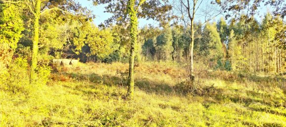  قطعة أرض في O Pino, Spain 5000متر مربع رقم 43262 16