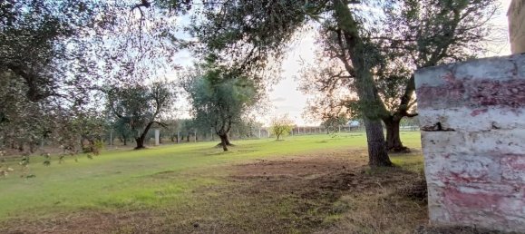 Casa de 3 habitaciónes en Francavilla Fontana, Italy No. 21875 11