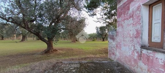 Casa de 3 habitaciónes en Francavilla Fontana, Italy No. 21875 3