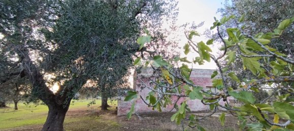 Casa de 3 habitaciónes en Francavilla Fontana, Italy No. 21875 15