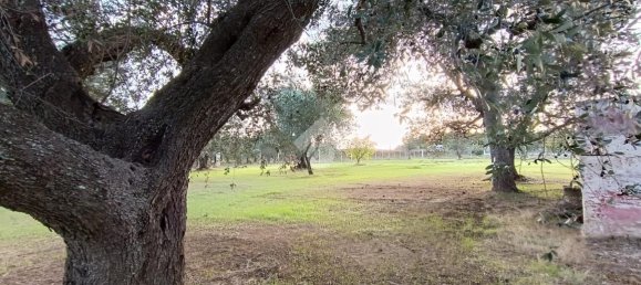 Casa de 3 habitaciónes en Francavilla Fontana, Italy No. 21875 13
