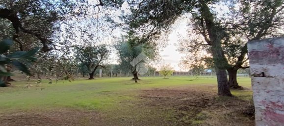 Casa de 3 habitaciónes en Francavilla Fontana, Italy No. 21875 14