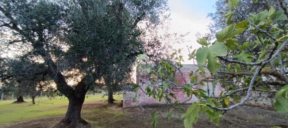 Casa de 3 habitaciónes en Francavilla Fontana, Italy No. 21875 17