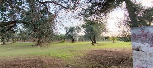 Casa de 3 habitaciónes en Francavilla Fontana, Italy No. 21875 6