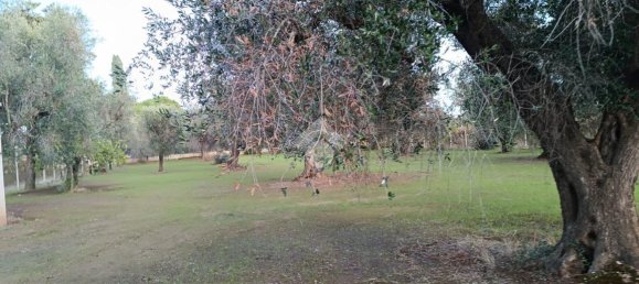 Casa de 3 habitaciónes en Francavilla Fontana, Italy No. 21875 8
