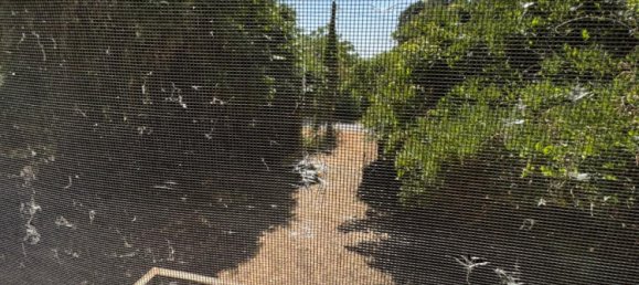 2500m² Land in Giussago, Italy No. 167562 11