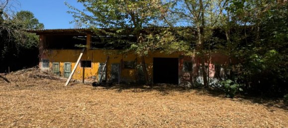 2500m² Land in Giussago, Italy No. 167562 18