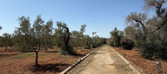 Terreno en San Vito dei Normanni, Italy No. 326563 6