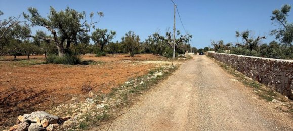 Terreno en San Vito dei Normanni, Italy No. 326563 34