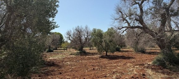 Terreno en San Vito dei Normanni, Italy No. 326563 11