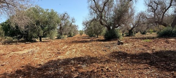 Terreno en San Vito dei Normanni, Italy No. 326563 16