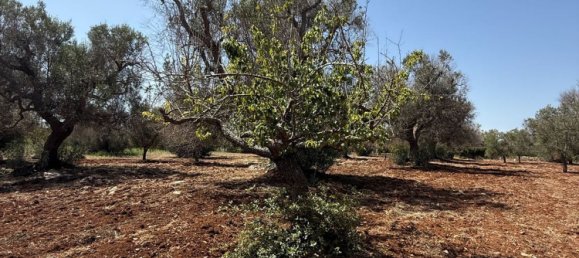 Terreno en San Vito dei Normanni, Italy No. 326563 20