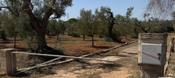 Terreno en San Vito dei Normanni, Italy No. 326563 3