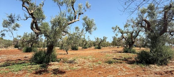 Terreno en San Vito dei Normanni, Italy No. 326563 27