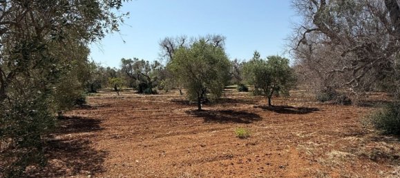 Terreno en San Vito dei Normanni, Italy No. 326563 10