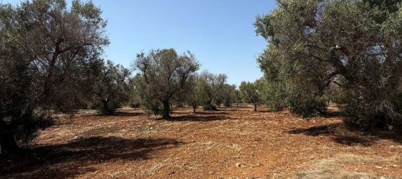 Terreno en San Vito dei Normanni, Italy No. 326563 18