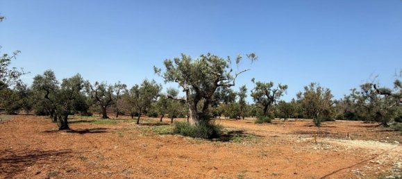 Terreno en San Vito dei Normanni, Italy No. 326563 36