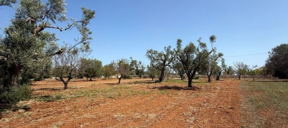 Terreno en San Vito dei Normanni, Italy No. 326563 29
