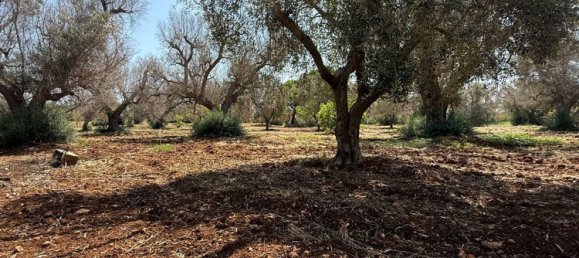 Terreno en San Vito dei Normanni, Italy No. 326563 15