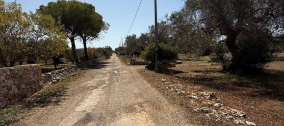 Terreno en San Vito dei Normanni, Italy No. 326563 35