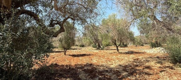 Terreno en San Vito dei Normanni, Italy No. 326563 21