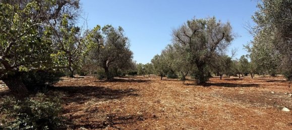 Terreno en San Vito dei Normanni, Italy No. 326563 19