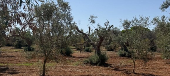 Terreno en San Vito dei Normanni, Italy No. 326563 37
