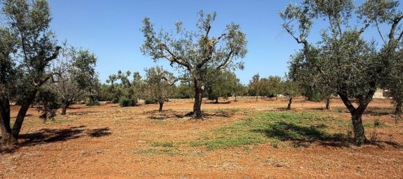 Terreno en San Vito dei Normanni, Italy No. 326563 31