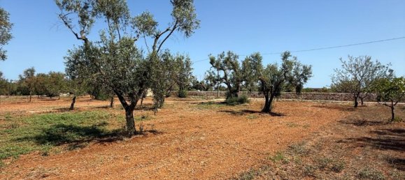 Terreno en San Vito dei Normanni, Italy No. 326563 32