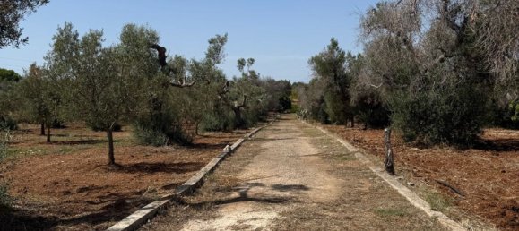 Terreno en San Vito dei Normanni, Italy No. 326563 4