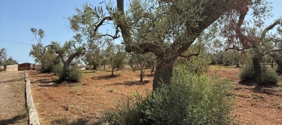 Terreno en San Vito dei Normanni, Italy No. 326563 8