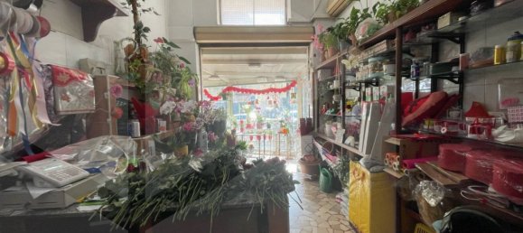 Propiedad comercial de 1 habitación en Naples, Italy No. 20615 12