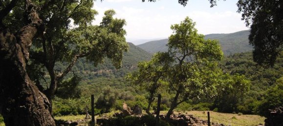 Terreno en Gaucín, Spain No. 83288 5