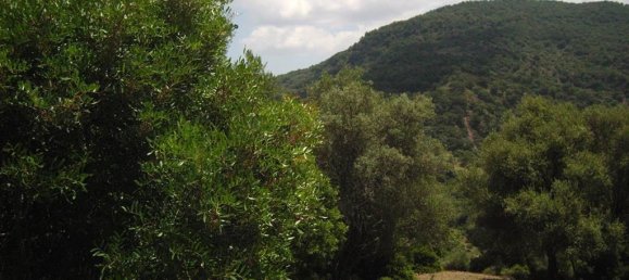 Terreno en Gaucín, Spain No. 83288 3