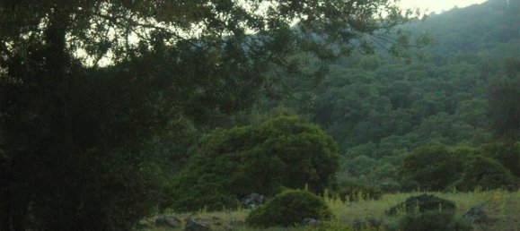Terreno en Gaucín, Spain No. 83288 11