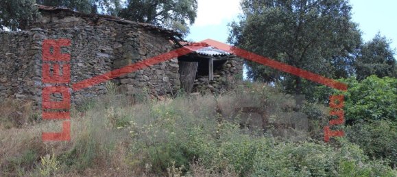 10360m² Land in Mirandela, Portugal No. 221220 10