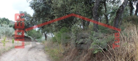 10360m² Land in Mirandela, Portugal No. 221220 9