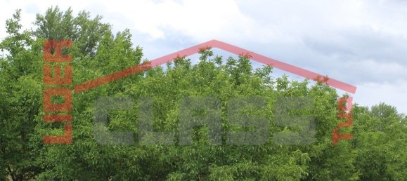 10360m² Land in Mirandela, Portugal No. 221220 3