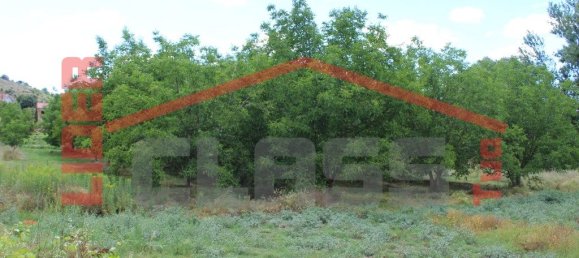 10360m² Land in Mirandela, Portugal No. 221220 4